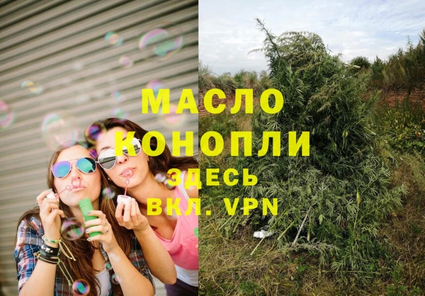 гашик Михайловск