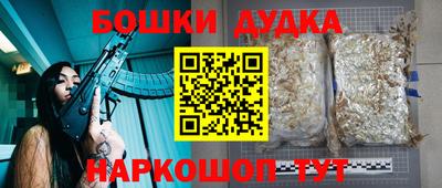 гашик Ирбит