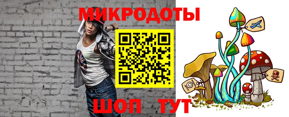 Псилоцибиновые грибы Cubensis Невинномысск