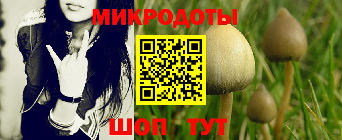 Галлюциногенные грибы прущие грибы  Вход с VPN  купить   Галлюциногенные грибы GOLDEN TEACHER  Невинномысск 